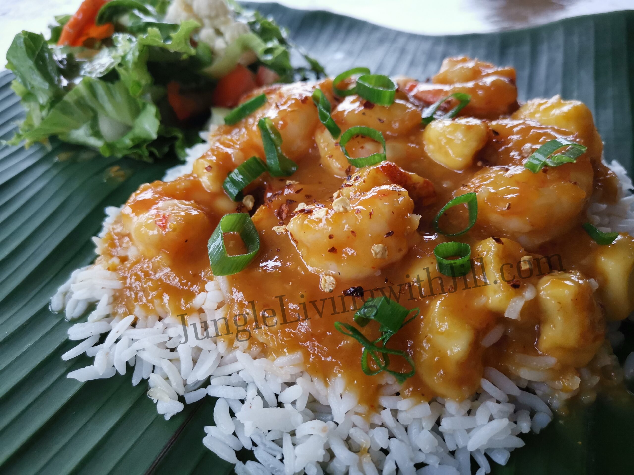 Asian Arazá Sauce with shrimp and Costa Rican fried cheese, served with salad