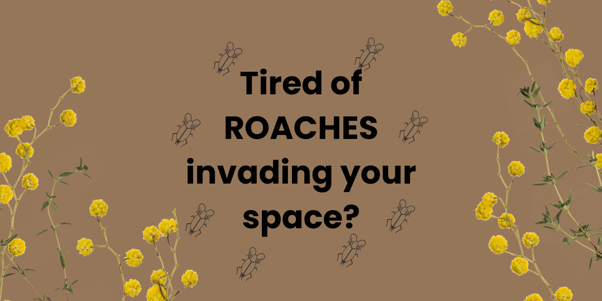 Are you tired of roaches invading your space?