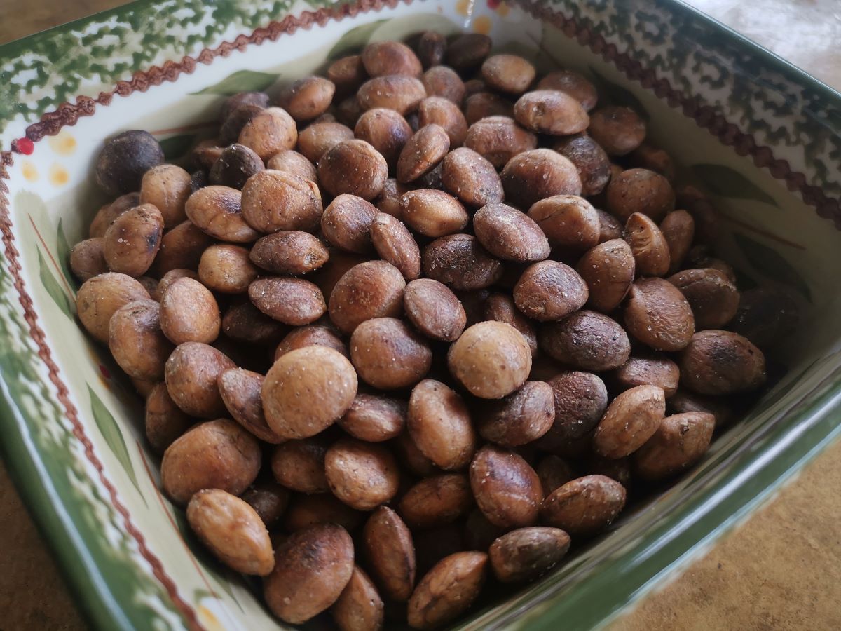 Roasted sacha inchi nuts in bowl